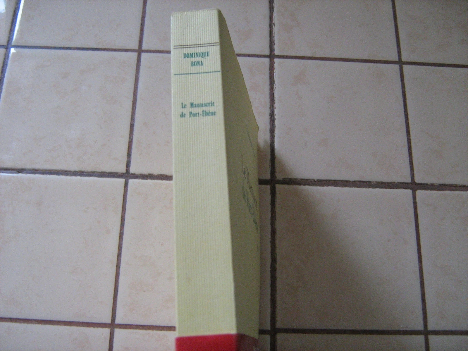 le manuscrit de Port-Ebène – photo 2
